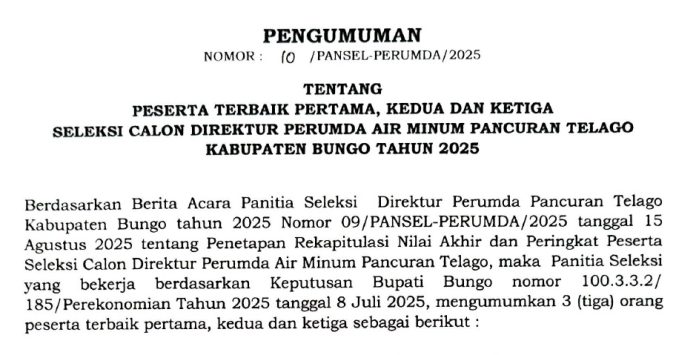 20250917104450Pengumuman Seleksi Dir Perumda_page-0001